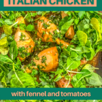 Sheet pan Italian chicken thighs, fennel, and cherry tomatoes tossed in a seasoning blend of basil, oregano, marjoram and garlic powder.