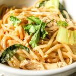 Garlic, peanut, bok choy, tender pieces of chicken, and udon noodles come together for an easy lunch or dinner recipe.