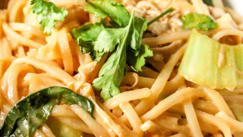 Garlic, peanut, bok choy, tender pieces of chicken, and udon noodles come together for an easy lunch or dinner recipe.